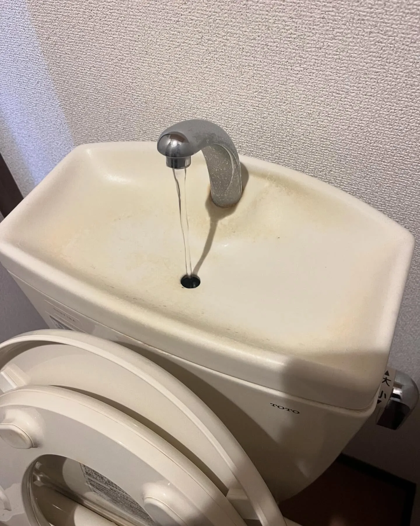 トイレ掃除！綺麗にした後の写真撮るの忘れてました🥹