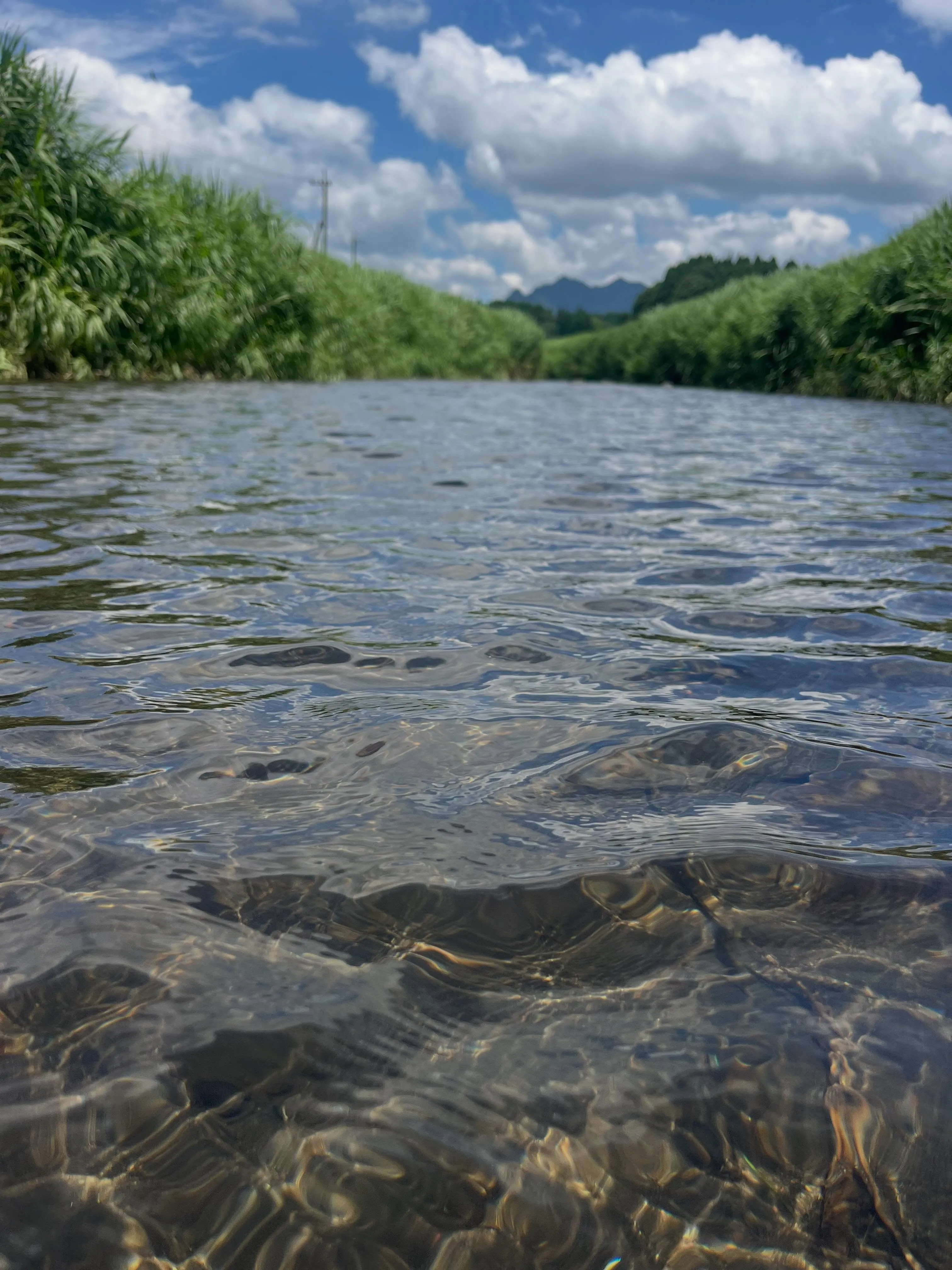 川遊び🛶🍉